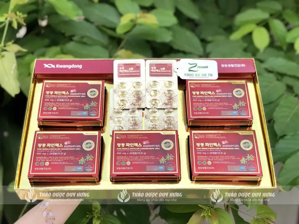 Kwangdong Pine Needle Distilled Concentrate Oil 100% 120 tablets