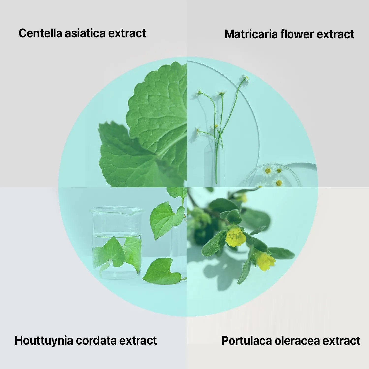 ILSO Super Melting Serum Softener 150ml + Deep Clean Master - 1pc Set